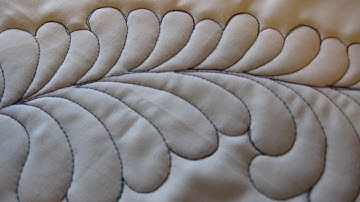 Free Motion Quilting: Intro to Feathers