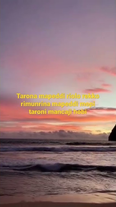 lagu bugis lenye jarung viral | status bugis