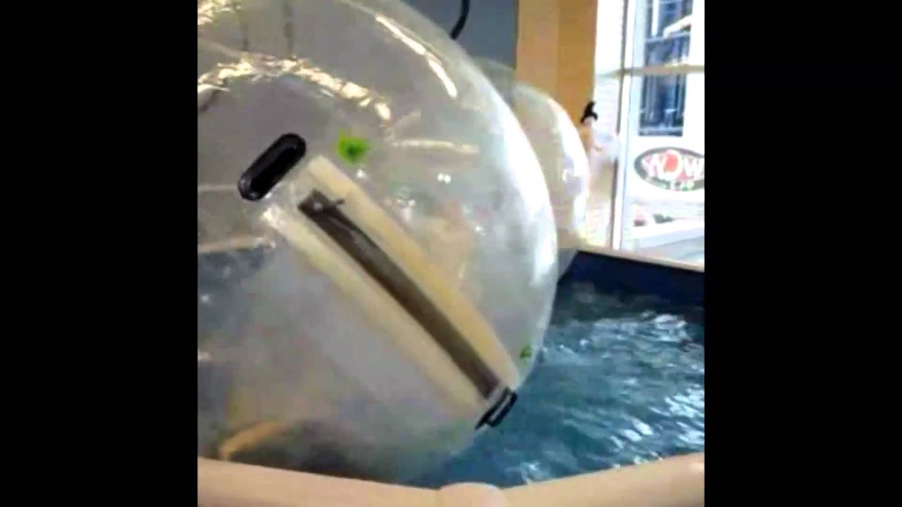 eugene talmond hamster ball