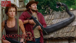 Deadly Double Snake Attack Anaconda 3 Offspring Creature Features