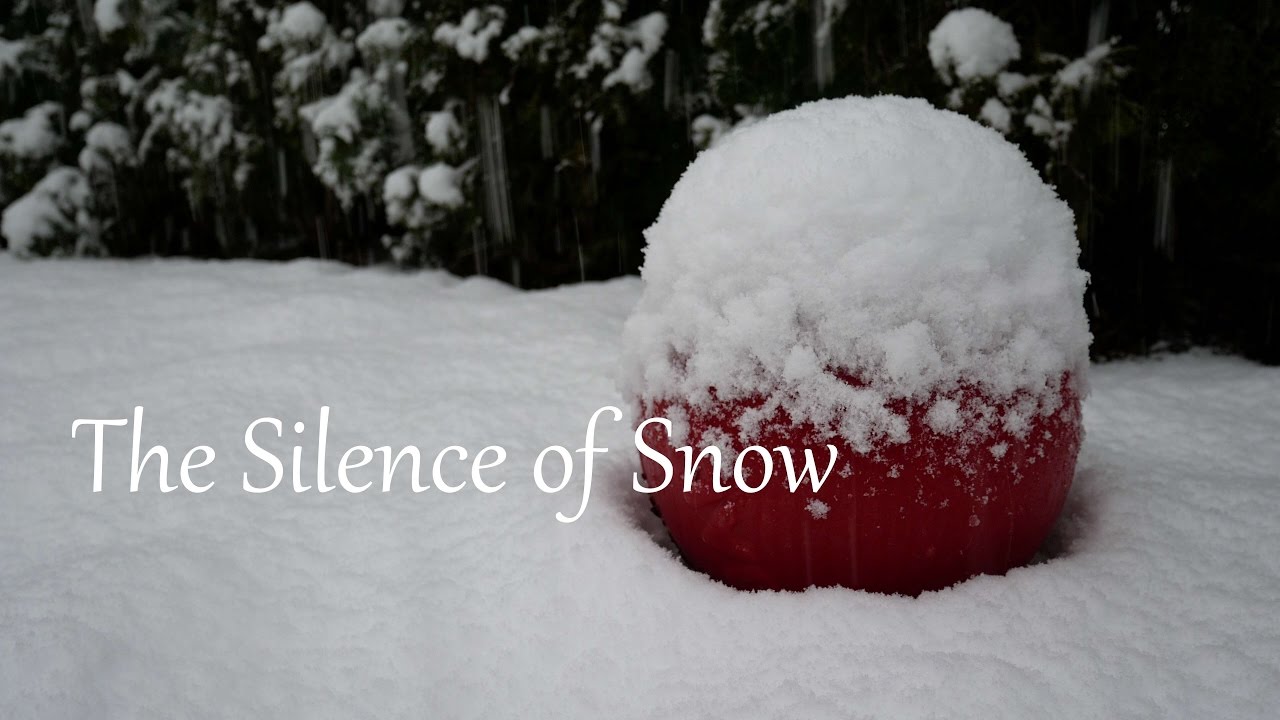 The Silence of Snow | Short Film
