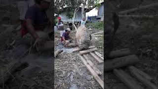 Otot Kawat Balung Wesi