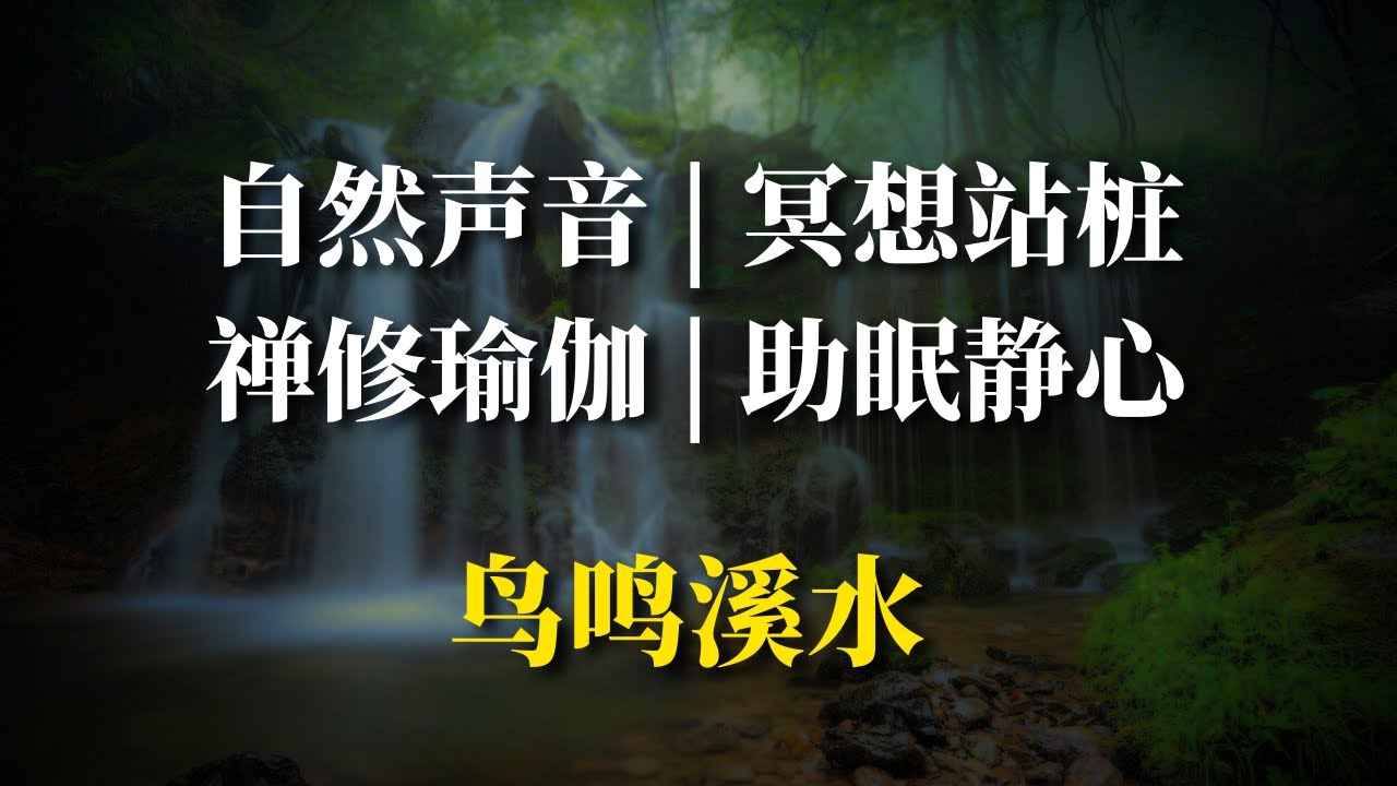站桩打坐丨冥想｜安静 放松｜ 禅修瑜伽 -  大自然的声音 睡眠 仿佛置身其中