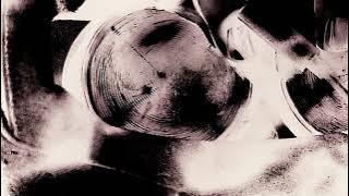 Jorie Graham reads 'The VR' from To 2040