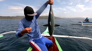 Mabilisang Paghuli ng Tulingan | Buhay Dagat