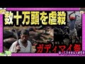 生贄イベントビジネス? 動物大量虐殺のガディマイ祭【 ゆっくり解説 宗教 】