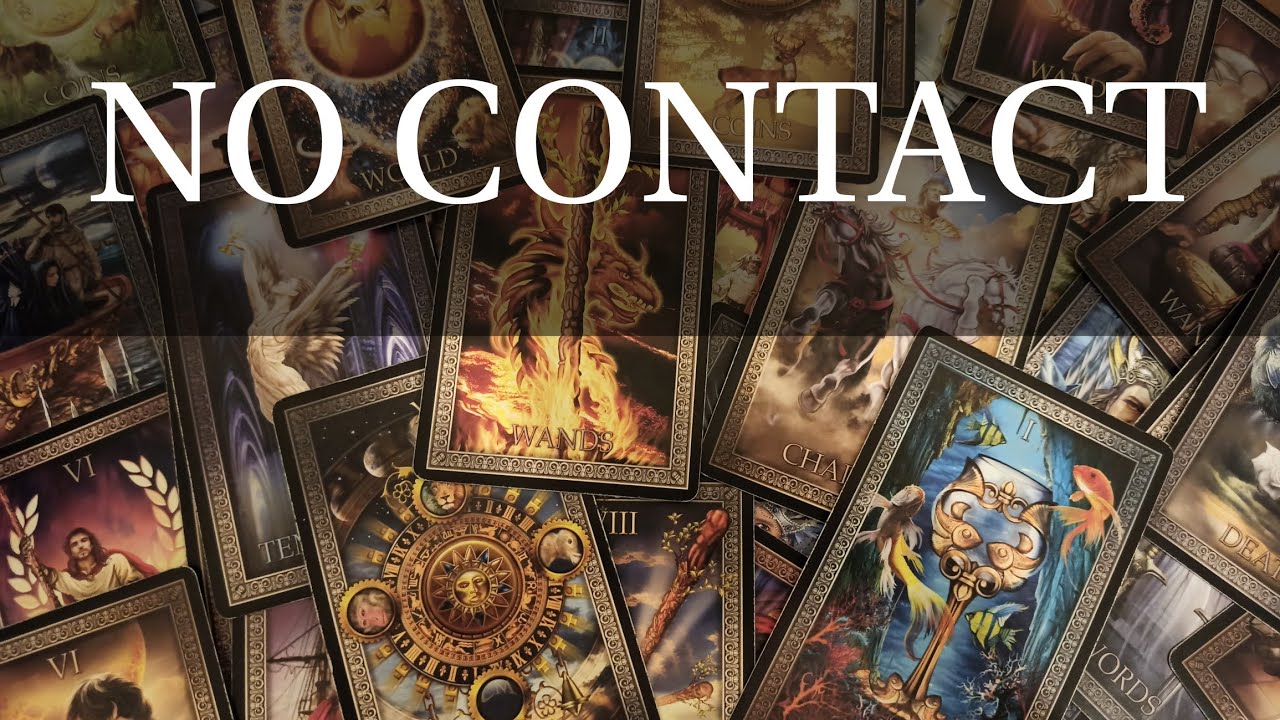 PICK A CARD: NO CONTACT.  THEIR FEELINGS &  ACTIONS .FUTURE POTENTIAL.  TAROT TIMELESS READING.