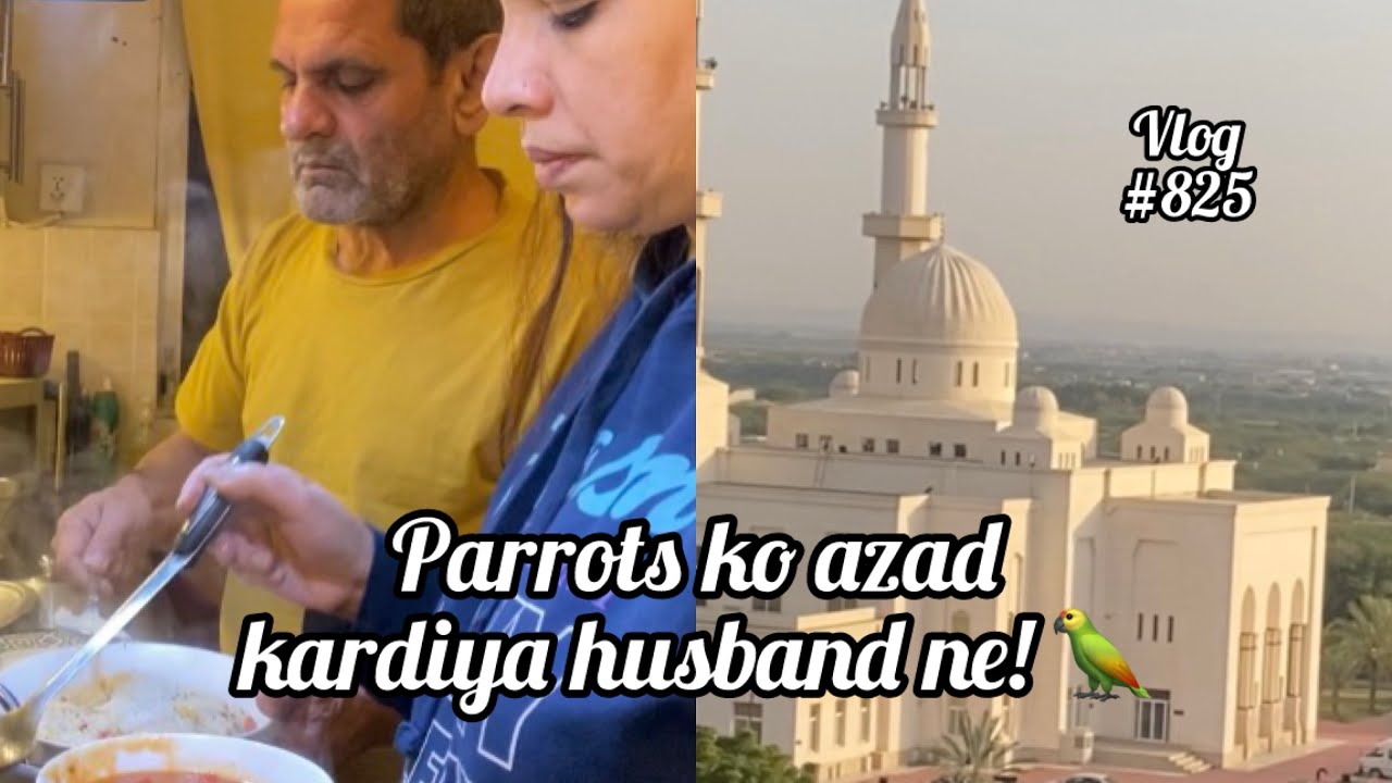 PARROTS KO AZAD KARDIYA HUSBAND NE! | VLOG #825 | BINISH RIZWAN - YouTube