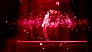 Opening Mfff Show2014 Hd