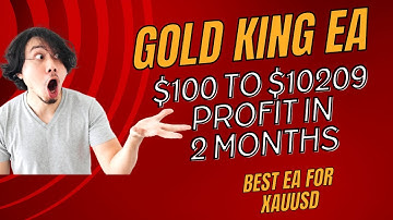 Gold King EA Forex MT4 EA Jan And Feb 2024 Months Profit | Best forex robots
