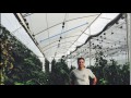 Tropical and Hot Climate Greenhouse Design: Natural Ventilation Augmented Cooling NVAC Greenhouse