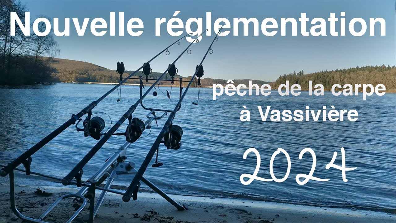 Lot De 1025 Manchons De Pêche En Tungstène Pour Pêche à La