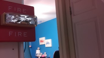 System Test 3: Preview & Sneak Peeks & 1 Small Update