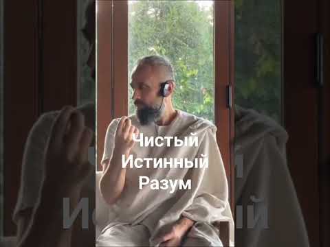 Истинное Чистое Состояние