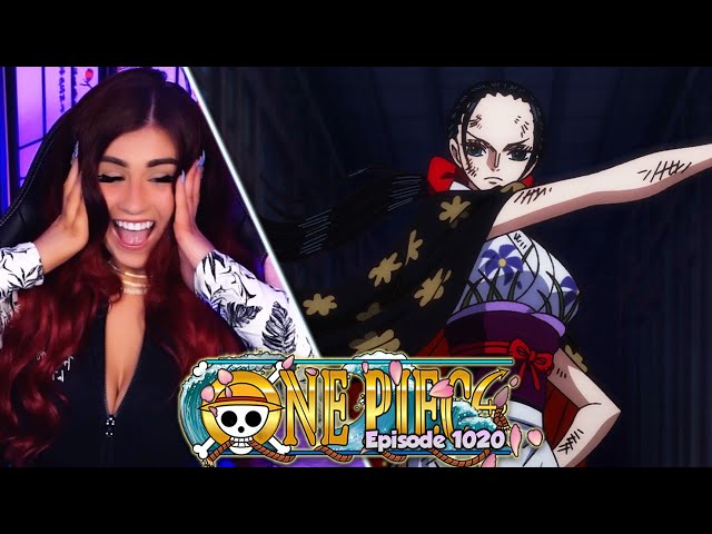 Nico Robin's Blog Party [One Piece 1020]