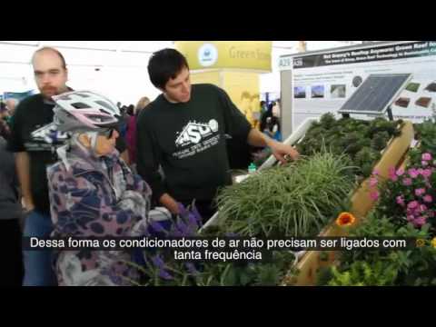 Vídeo: Vegetação No Telhado: Perspectivas Russas