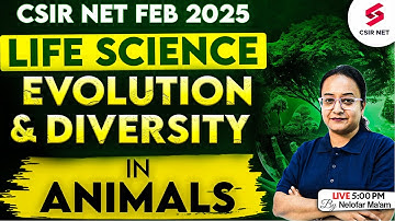 CSIR NET FEB 2025 | Life Science Preparation | Evolution And Diversity In Animals | Nelofar Mam