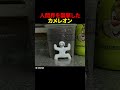 人間界を襲撃したカメレオン