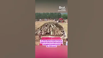 Not Love But Marijuana Fumes Are In The Air In Andhra Pradesh 