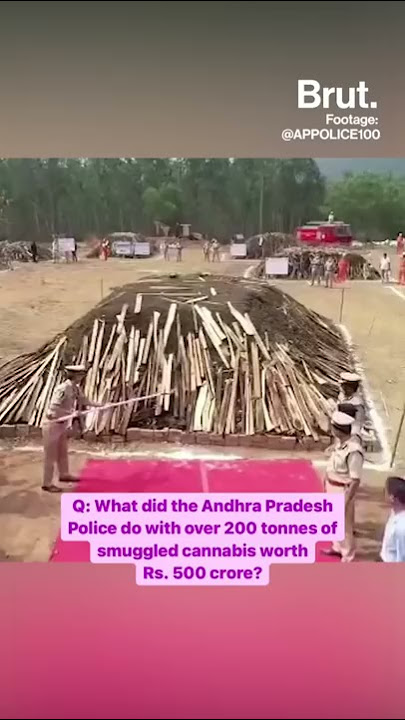 Not love, but marijuana fumes are in the air in Andhra Pradesh!