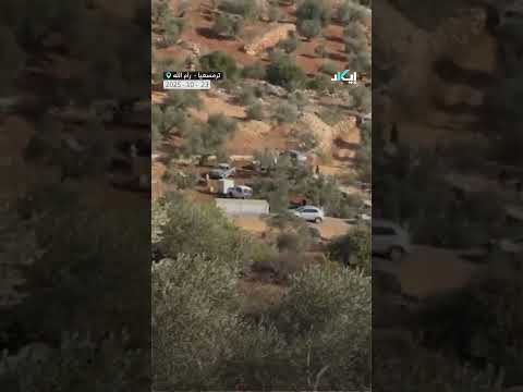جيش الاحتلال يطرد المزارعين من أراضيهم في ترمسعيا