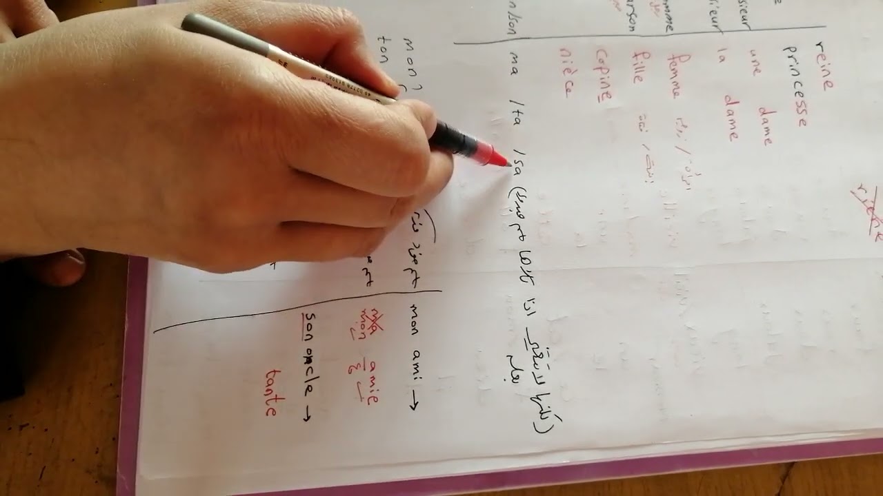 التأنيث الجزء الثاني والأخير للصف الثالث والرابع والخامس والسادس