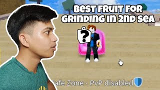 Level 1 to MAX | Best Fruit in 2nd Sea (Blox Fruit)