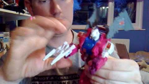 Transformers G1 Monsterbots Review