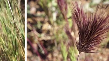 the2vvo - Scintilla (intro)