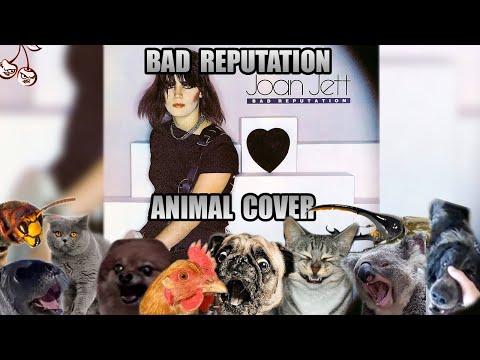 Joan Jett - Bad Reputation Animal Cover