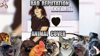 Joan Jett - Bad Reputation (Animal Cover)