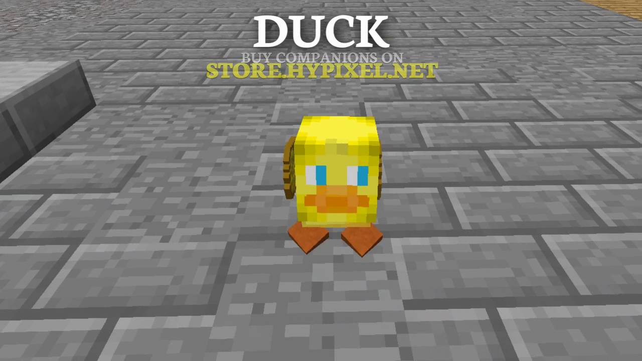 Hypixel - Daily Rewards - Zoo [ADVERT] - Support Hypixel - Buy Companions and other items on our store: https://store.hypixel.net/

Login on Minecraft for PC / Mac with the Server Address.