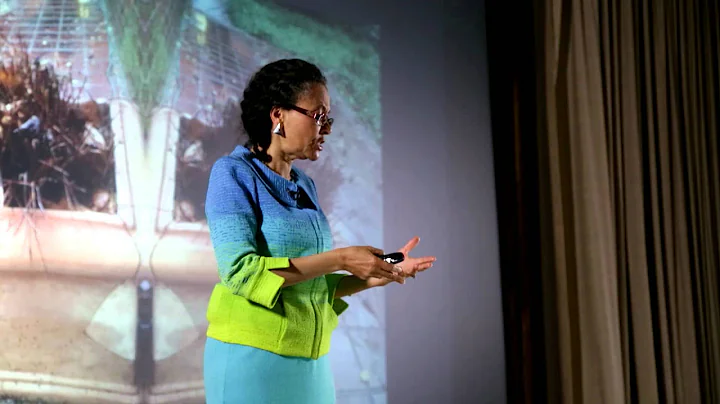 Allegories on race and racism | Camara Jones | TED...