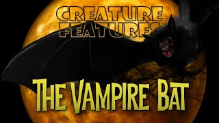 David Skal & The Vampire Bat