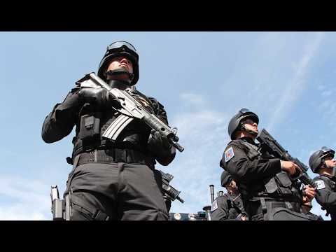Vídeo: Com Felicitar El Dia De La Policia De Trànsit