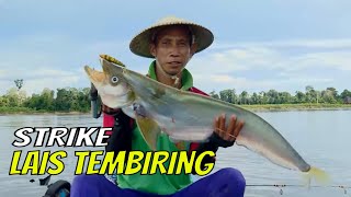 Battle Fishing Snakehead: Tim Warung VS Tim Nelayan | MANCING MANIA STRIKE BACK (04/06/23) Part 1