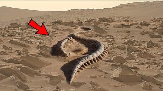 NASA Mars Perseverance Rover Released New 4k Video of Mars on Sol 1081 | Mars 4k Video | Mars 4k