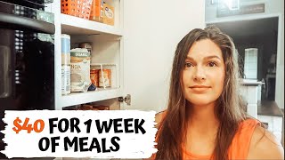 SHELFCOOKING TO SAVE MONEY: PANTRY COOKING CHALLENGE: SAVING MONEY ON GROCERIES