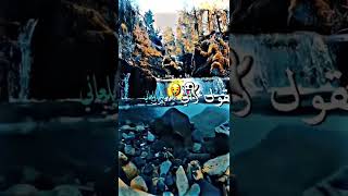 خليني راني مبلاني مانيش مليح #شاشه_سوداء #music #حالات_واتس #اشتراك #اغاني_جزائرية #fyp #remix