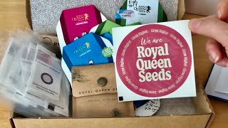 Meine Bestellung bei Royal 👑 Queen 👸 Seeds RQS THCV CBDV F1 Hybrid uvm