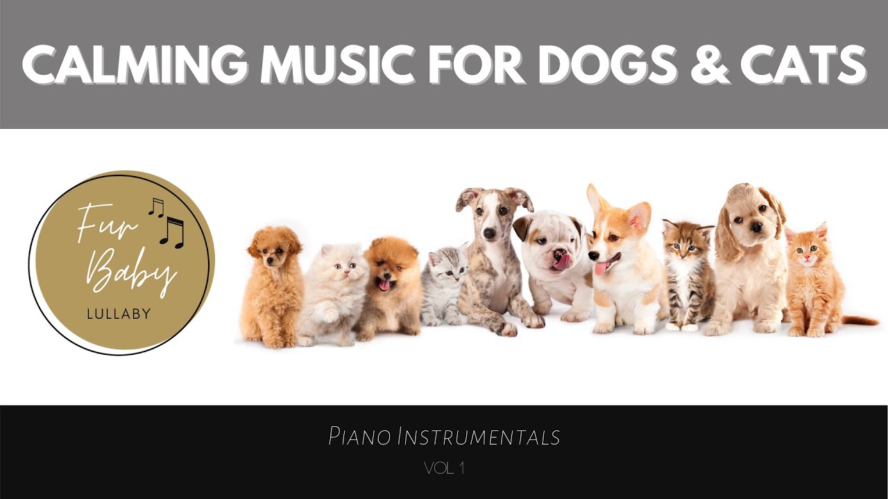 FUR BABY LULLABY: 9 Hours of AMAZING Calming Music for Dogs & Cats - NO LOOPS!