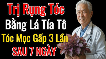 Cách Trị Rụng Tóc Bằng Lá Tía Tô – Mọc Nhanh Gấp 3 Lần,An Toàn Tại Nhà | Cẩm Nang Tuổi Già