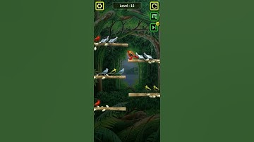 Birds Sort Puzzle.