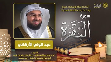 سورة البقرة كاملة بدون اعلانات | بصوت رائع وجميل جدا HD | الشيخ عبد الولي الاركاني |Surat al baqara