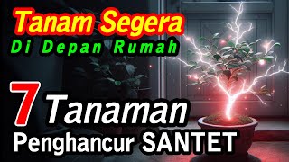 TANAM SEGERA !! 7 Tanaman Penghancur SANTET,  Sihir dan Ilmu Hitam
