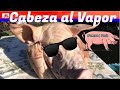 Como Preparar Cabeza de Puerco en olla Vaporera