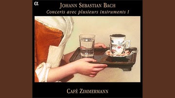 Concerto pour hautbois d'amour in A Major, BWV 1055: I. Allegro