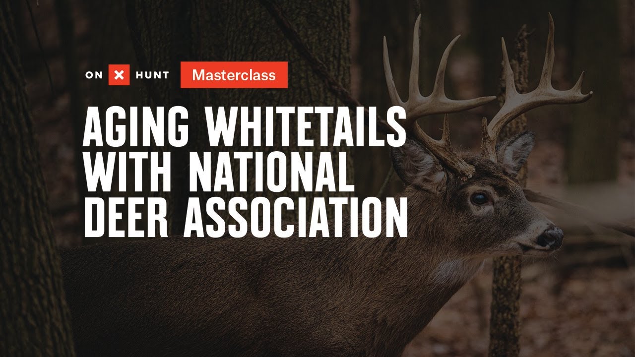Aging Whitetails with National Deer Association YouTube