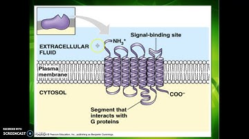 AP Biology - Chapter 11, Part 1