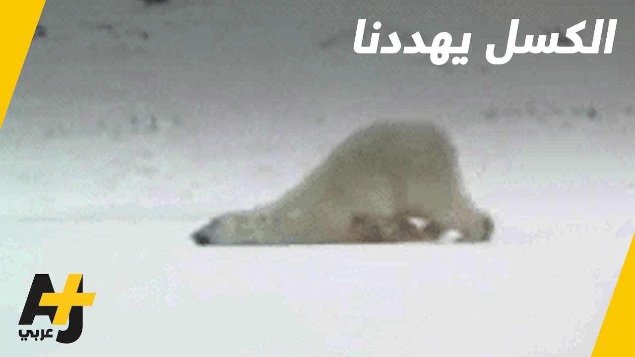 السمنة تهدد صحتك و الكسل يهدد الكوكب! كيف نتخلص منهما؟